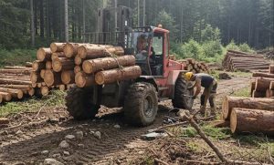 4wd-Forklifts-used-in-Forestry-Operations